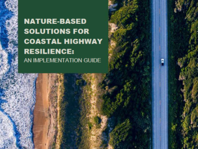 Nature-Based Solutions Implementation Guide